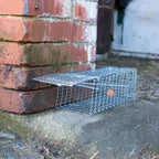 Fixman Rat Cage Trap 300 x 150 x 130mm