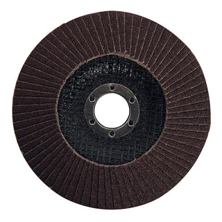 Flap Discs