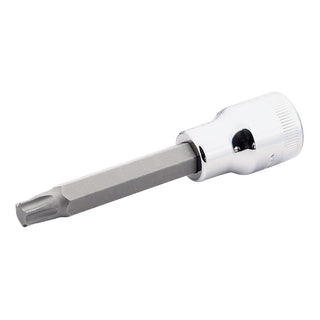 Torx Driver Bits